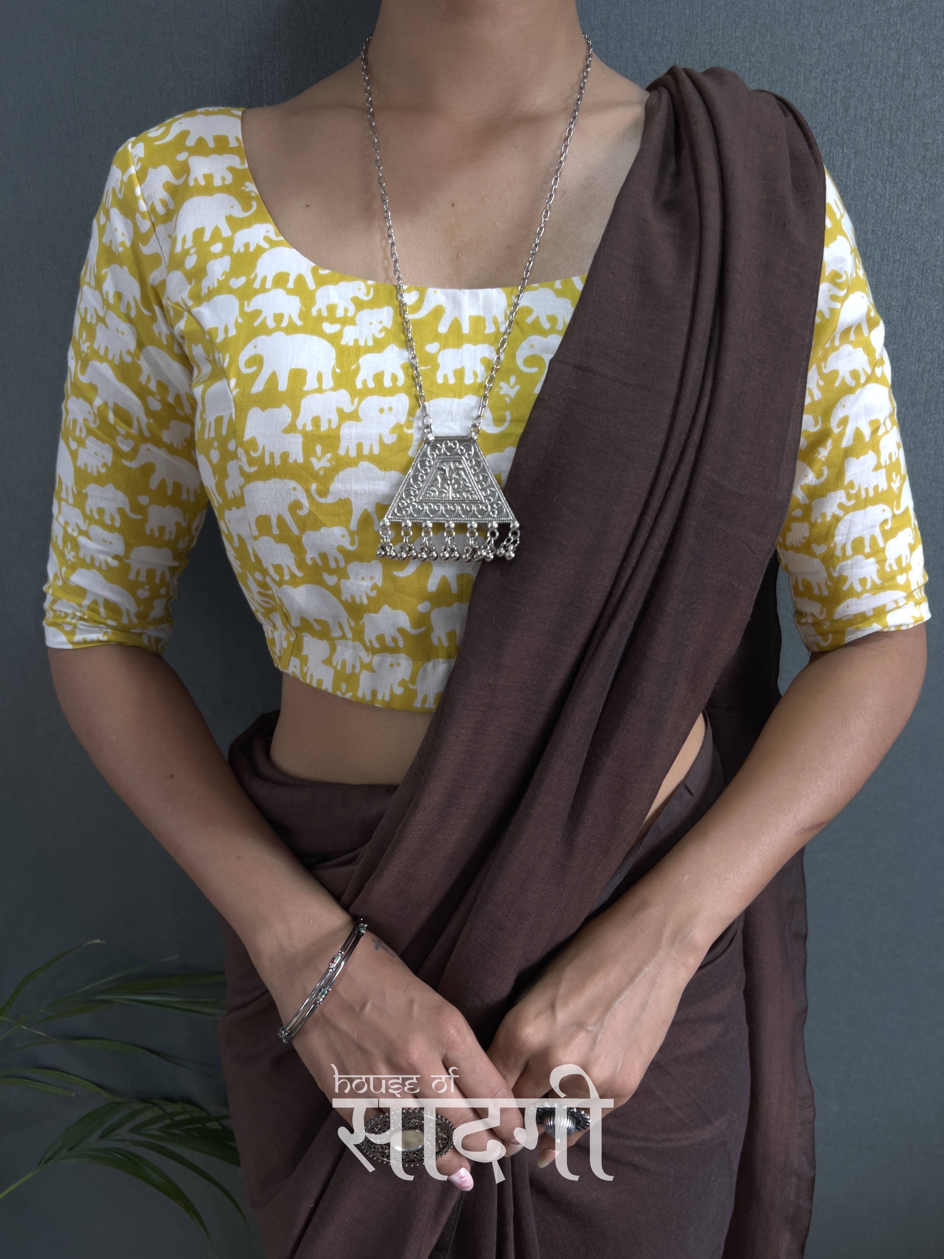 Brown Handloom Cotton Saree With Animal Printed Blouse